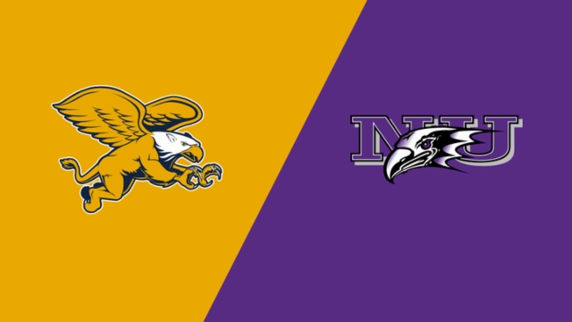 精准的传球 精准的传球